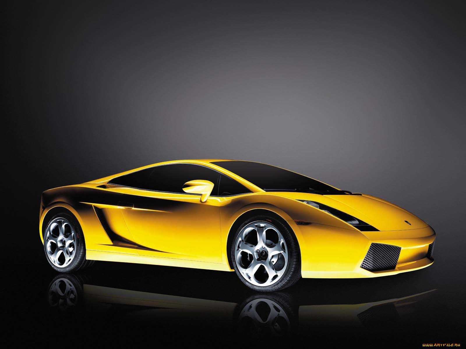 gallardo, , lamborghini